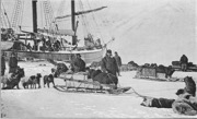 goose fiord 1900.jpg